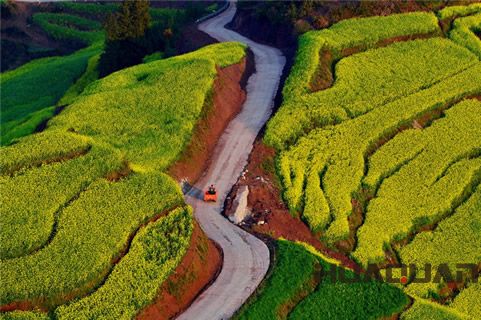 知道“油菜花之鄉”嗎？羅平好地方，華全發貨忙！