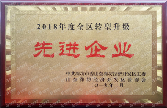 華全動(dòng)力被評為濰坊2018年度全區(qū)轉(zhuǎn)型升級先進(jìn)企業(yè)