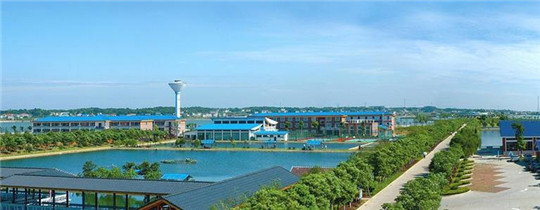 專業(yè)巡檢，熱心服務(wù)!華全發(fā)電機組助力養(yǎng)殖企業(yè)溫暖過冬!